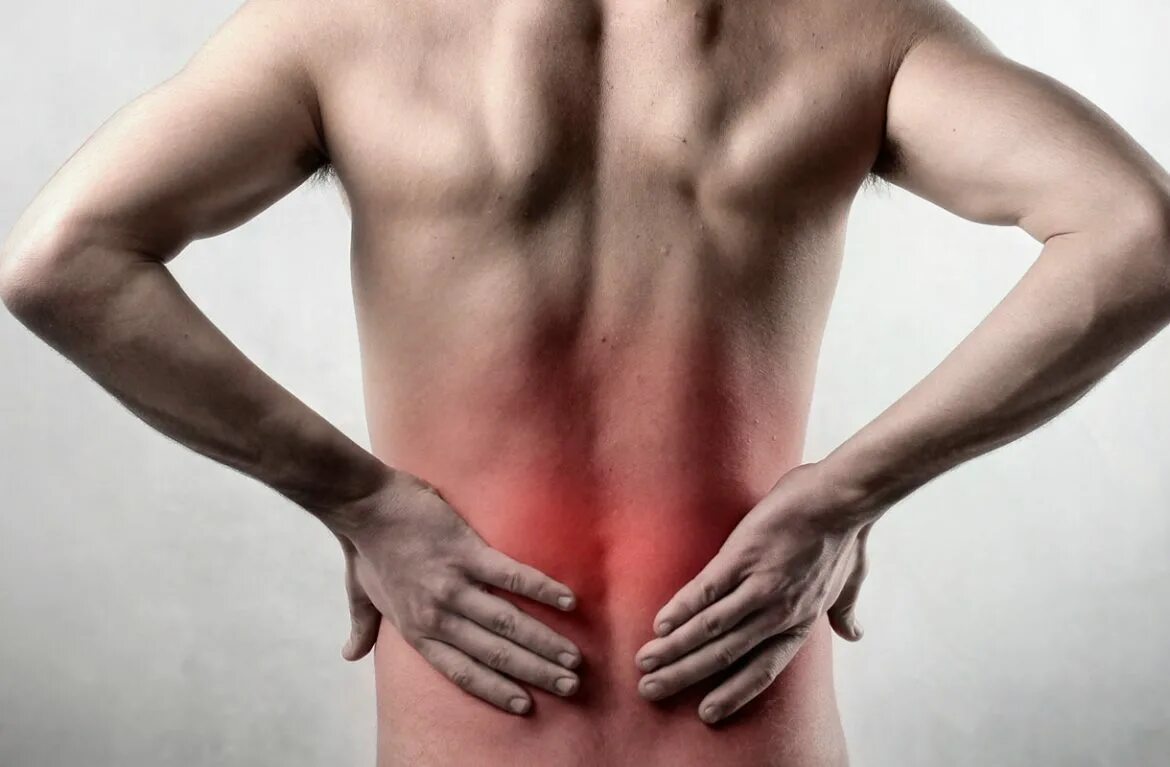 Боль в пояснице у мужчин почки. Лёгкие со стороны спины. Легкие со спины. Левая сторона спины.