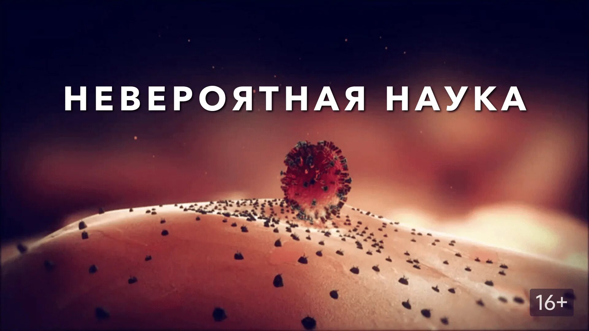 Невероятная наука смотреть. Наука и технологии. Редакция наука. Военные ученые. Невероятная наука.