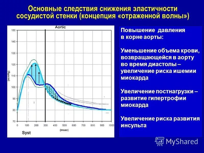 дуга аорты. эластичность аорты. эластичность аорты. давление в артериях. атеросклероз ветвей дуги аорты.
