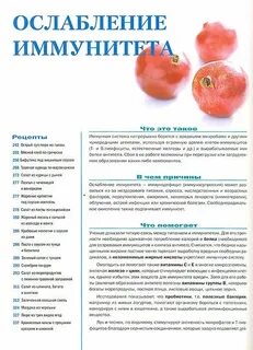 Какие фрукты поднимают иммунитет