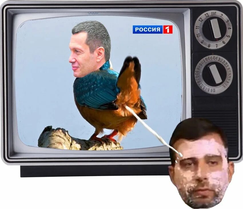 Соловьиный помет. Соловьев помет. соловьиный помет соловьев. соловьиный помёт карикатуры.