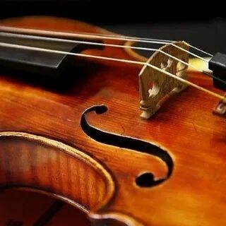 Скрипки 10