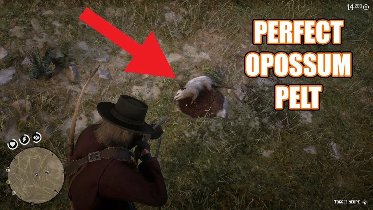 Опоссум в рдр 2. Red dead redemption 2 опоссум. виргинский опоссум рдр2. рдр2 опоссум на карте. шляпа из опоссума rdr2.