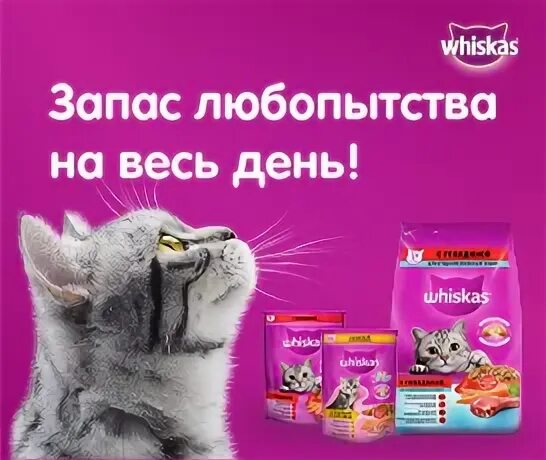 Сухая 13