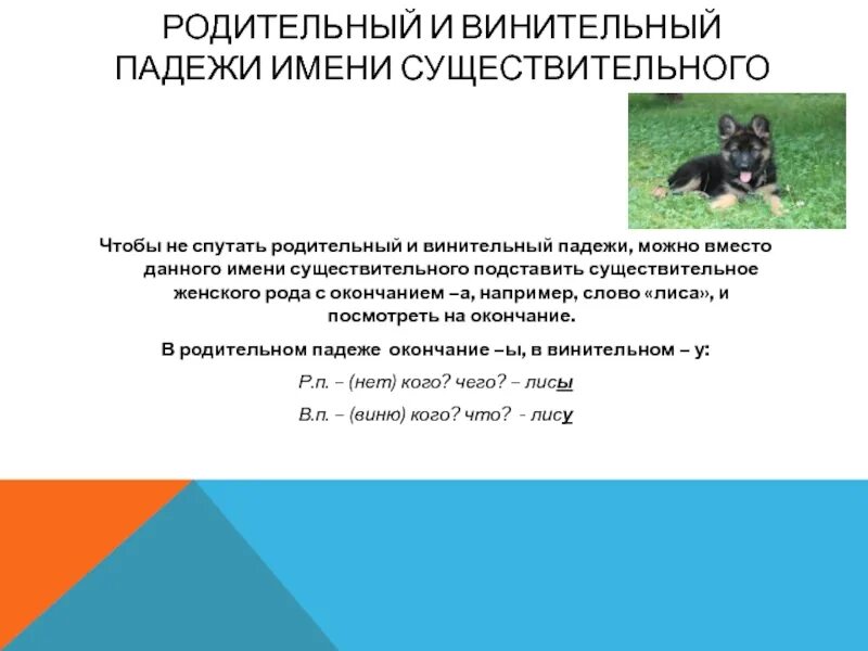 Как отличить родительный и винительный падеж существительных. Как отличить родительный падеж от винительного падежа. как различить винительный падеж от родительного. как различить родительный и винительный падежи имен существительных. как определить винительный падеж от родительного.
