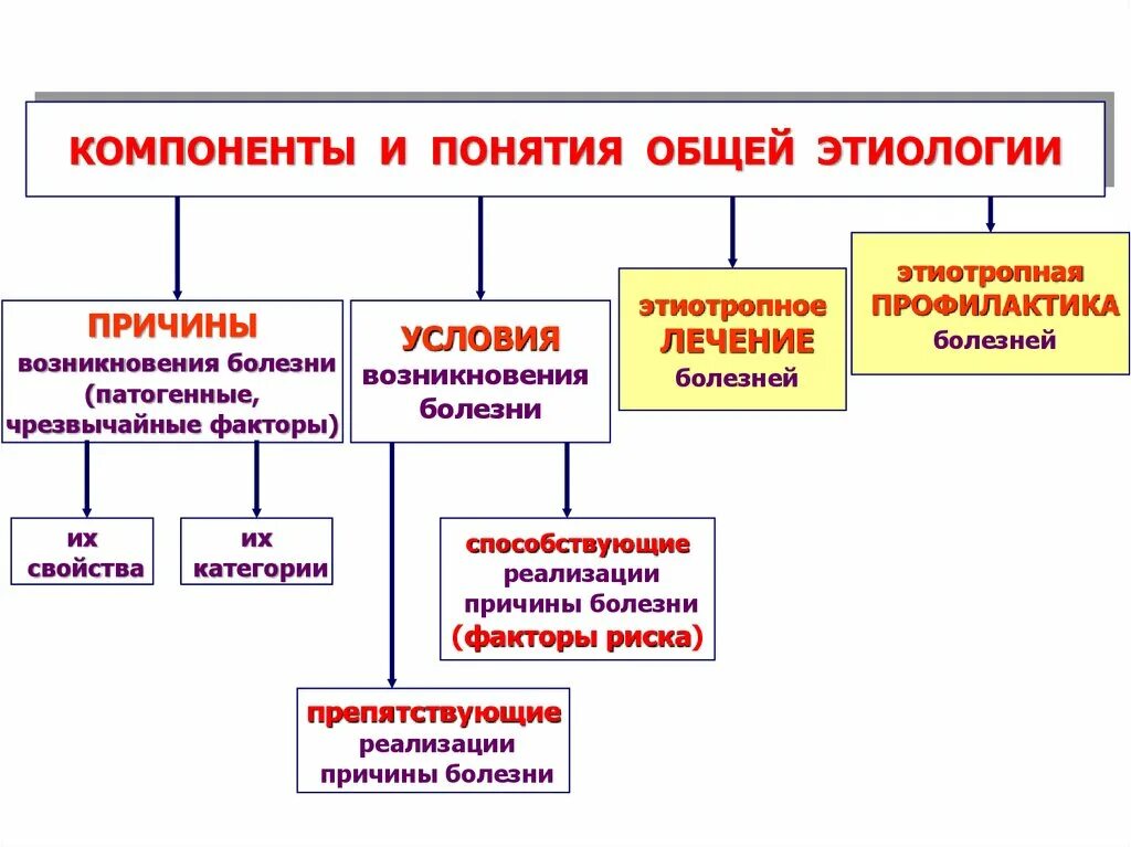 Причины и условия возникновения заболеваний. Общая этиология патофизиология. Причины возникновения болезней. Этиология условия и причины возникновения. Этиология причины заболевания.