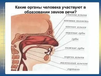 Значение речи в обучении