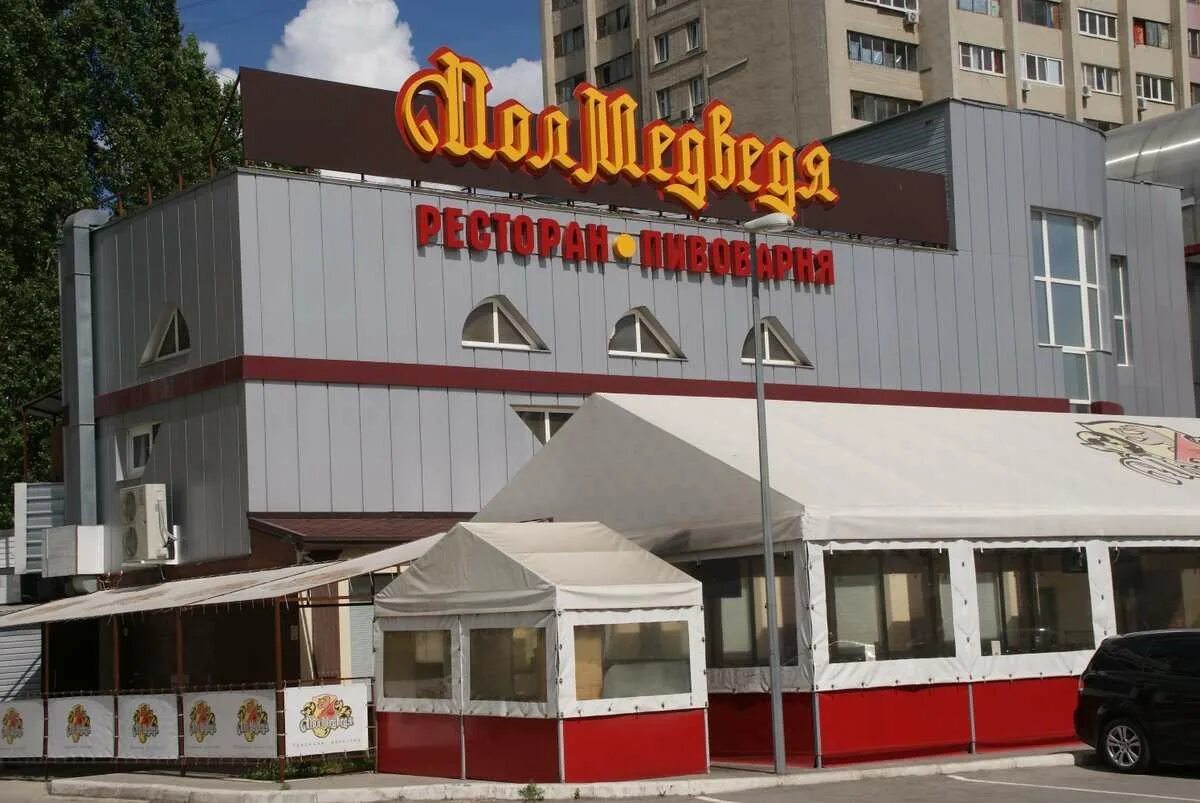 Полмедведя липецк фото YugNash.ru