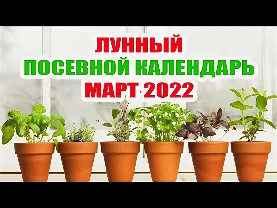 Лунный посевной календарь январь 15 2025 Новости
