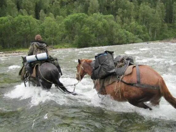 Поговорка коней на переправе не меняют. Кони на переправе. Коней на переправе не. Менять коней на переправе. Лошади через реку.