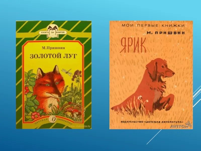 Стихотворение пришвин золотой луг. Пришвин м.м. "золотой луг". Золотой луг обложка книги м. пришвин. Золотой луг Пришвина. Пришвин золотой луг книга.