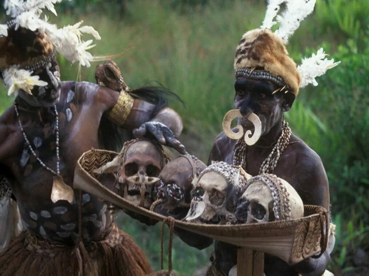 Племена каннибалов новой Гвинеи. Племена Папуа новая Гвинея каннибалы. Папуа новая Гвинея людоеды. Картинки людоеда