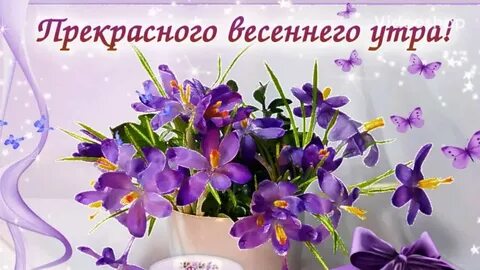 i?id=8e393ecdbb5f3620a24dc710e1db5671f064d161-3939383-images-thumbs&n=13