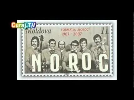 Группа норок