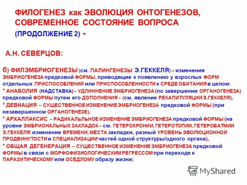 Основные формы филогенеза. Этапы филогенеза человека. Понятие филогенез.