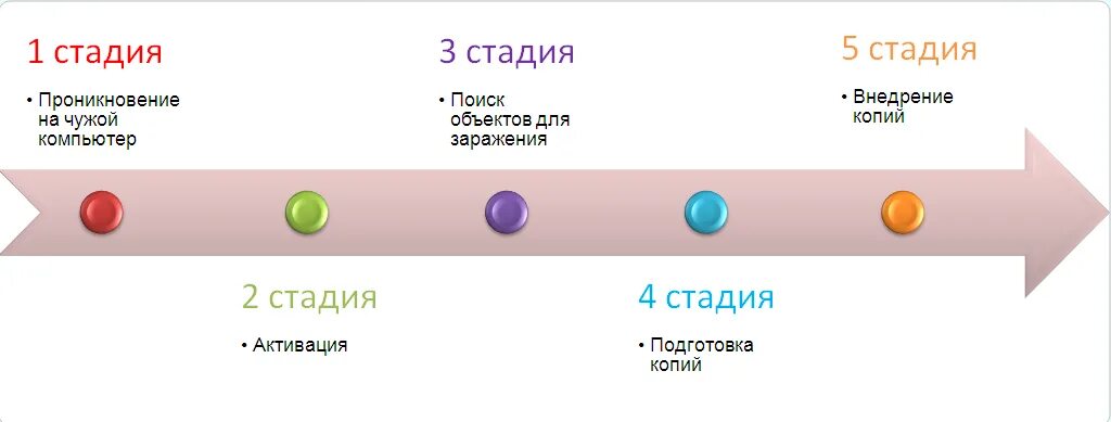 Жизненный цикл вируса в клетке хозяина. Жизненный цикл компьютерного вируса. Жизненный цикл компьютерного вируса. Фазы жизненного цикла вируса. Жизненный цикл компьютерного вируса.