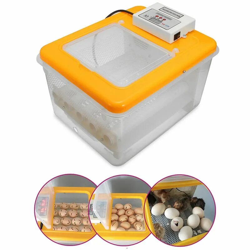 Инкубатор 12 Egg incubator. Инкубатор citaitai Automatic Egg incubator 30w. Автоматический инкубатор яиц Chicken Hatcher. Инкубатор для яиц Яадв 75 в726.044.