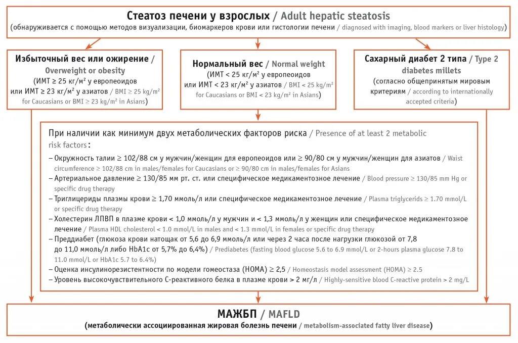 Киста печени мкб код 10 у взрослых. Стеатоз печени мкб 10. Метаболически ассоциированная жировая печень. Неалкогольная метаболически ассоциированная болезнь печени. Стеатоз печени код по мкб 10 у взрослых.