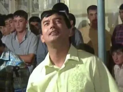 Дустов кушиклари