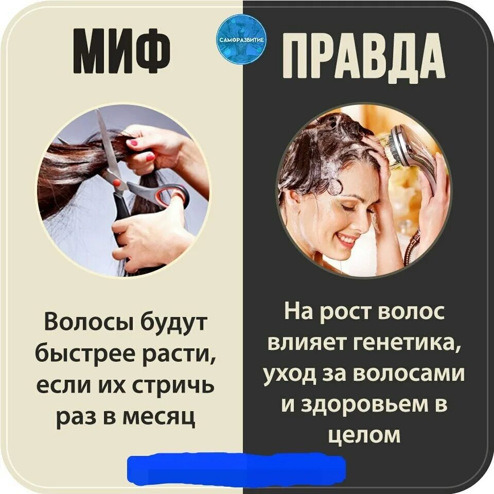 Мифы и правда про. Фразы про волосы. Интересные факты о волосах. Мифы о волосах. Миф правда.