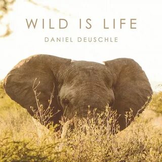 Enduring hope daniel deuschle