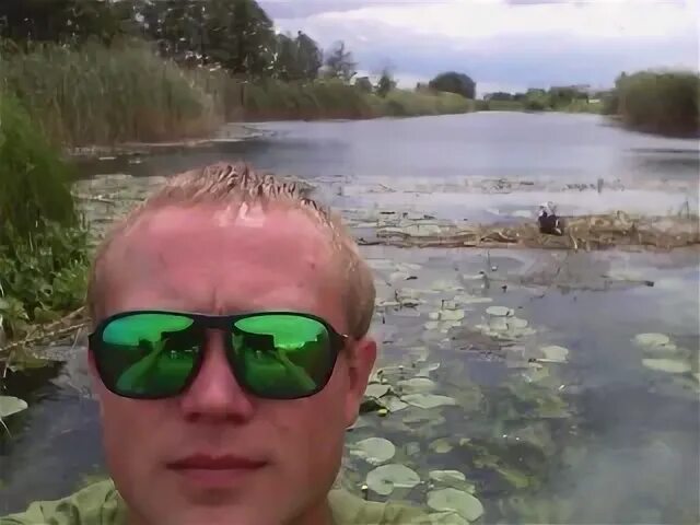 Грач воронеж