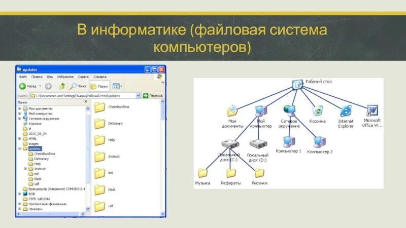 Файловая система схема Информатика 10 класс. Файловая система это в информатике. Файловая структура. Основы файловой структуры. Файловые структуры информатика 7 класс