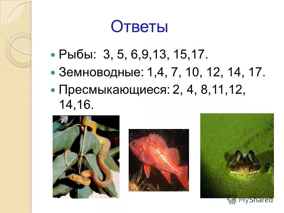 Контрольная работа класс пресмыкающиеся 2 вариант. Класс рыбы класс земноводные. Контрольная работа по биологии: рыбы, амфибии, рептилии. Тема рыбы и земноводные. Контрольная по теме рыбы.