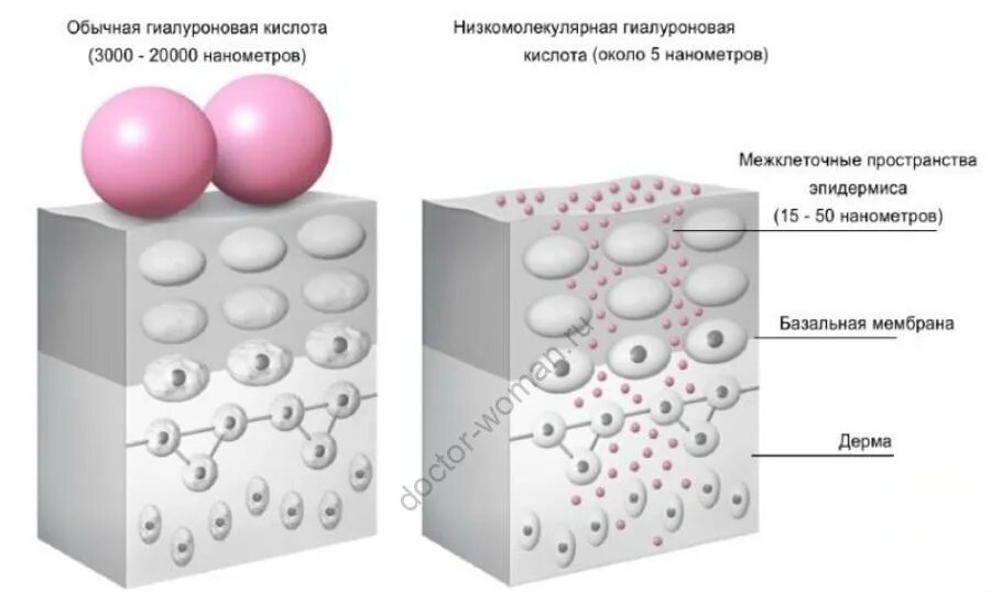 Гиалуроновая кислота где. Высокомолекулярная гиалуроновая кислота. Физико-химические свойства гиалуроновой кислоты. Низкомолекулярной гиалуроновой кислоты. Молекула гиалуроновой кислоты.