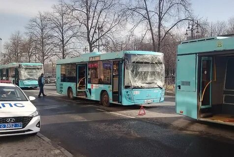 Автобус 33 спб