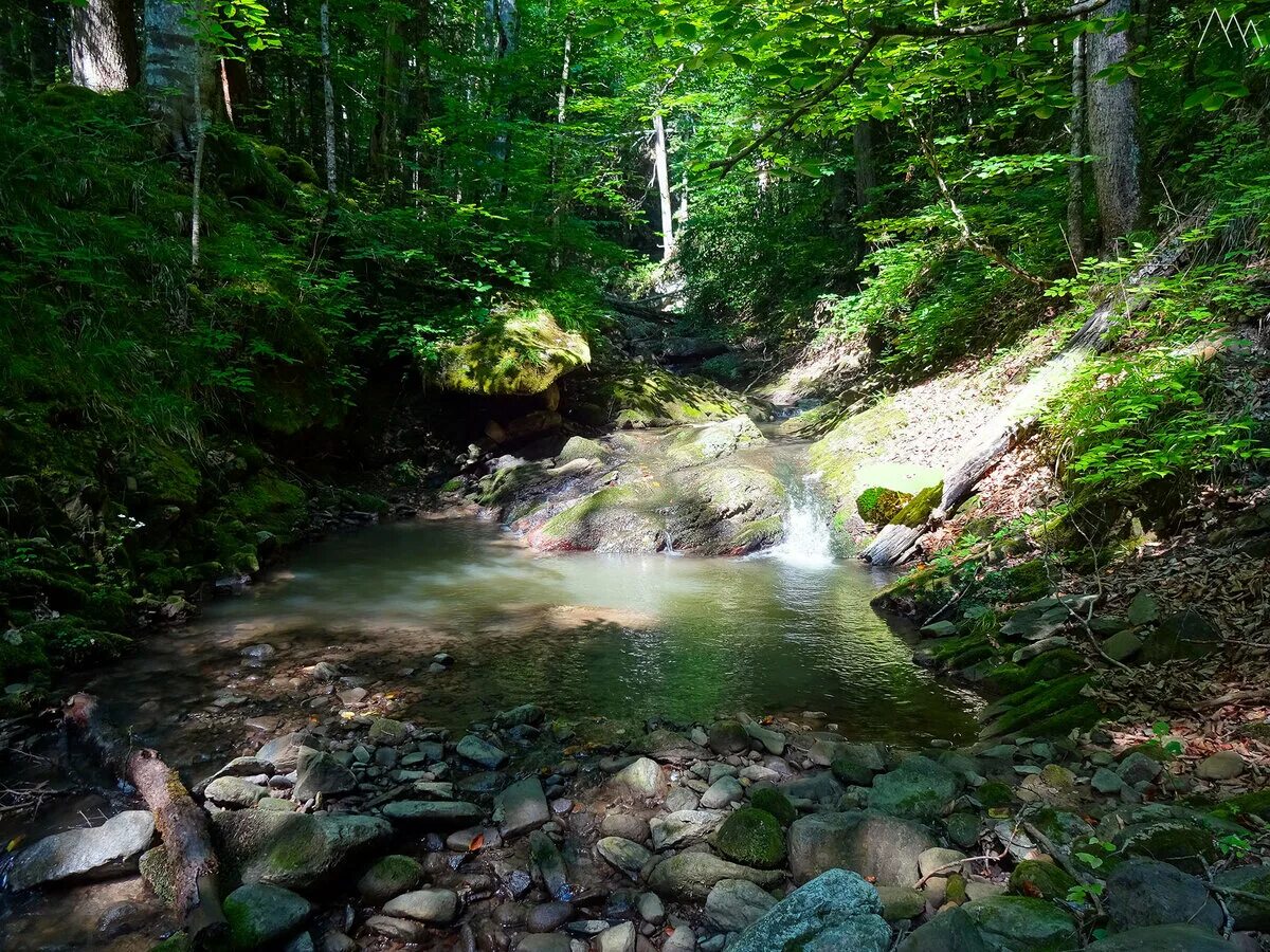 поход в горы. кавказский биосферный заповедник туризм. кавказский заповедник тропы. кавказский заповедник тропы. туристическая тропа кавказ.