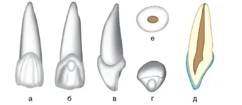 60 жастан асқан әжелермен порно