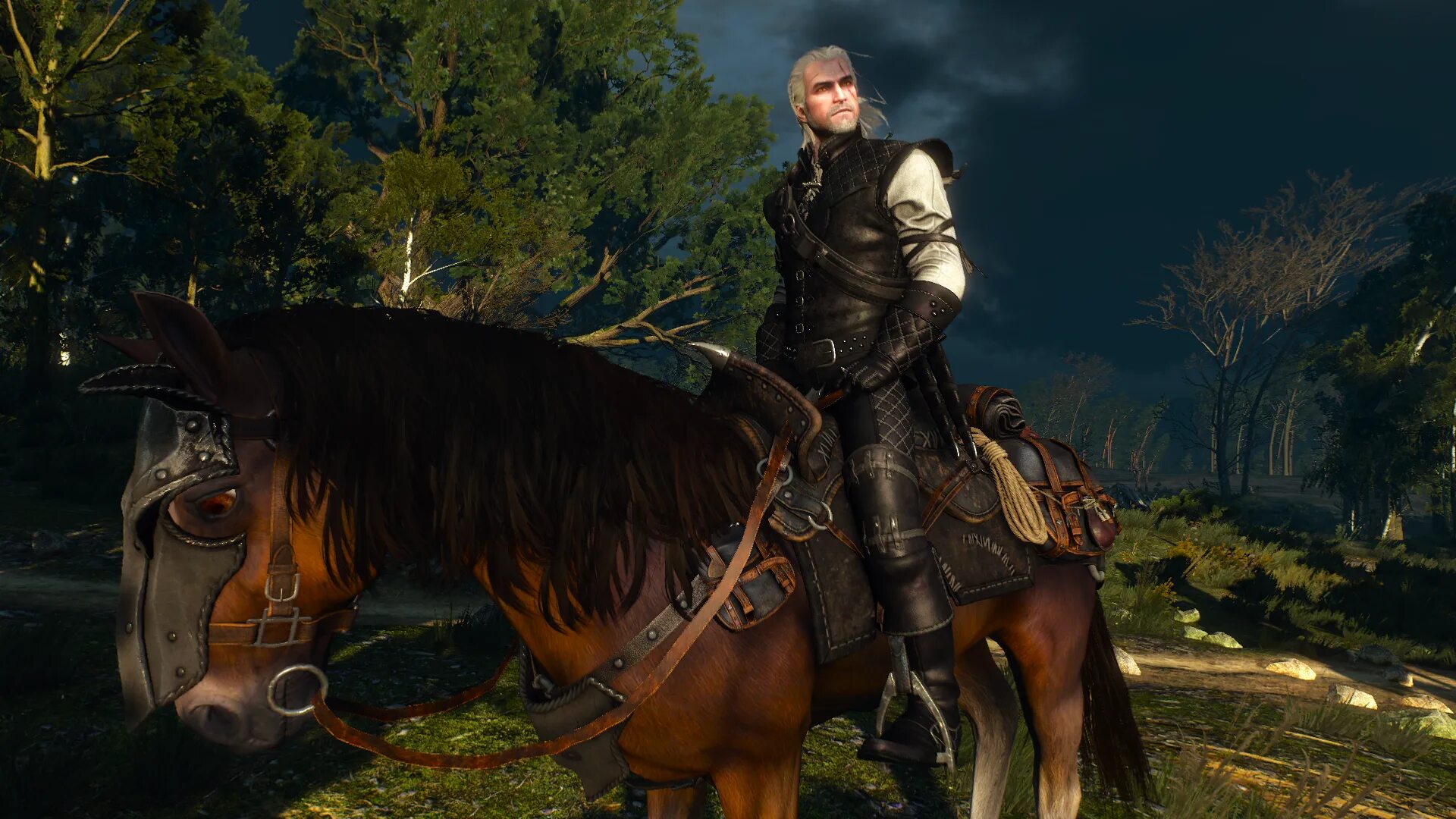 Ведьмак улучшенные. Ведьмак 3 Sezon burz. The Witcher 3 Wild Hunt моды. Ланселот Ведьмак 3. The Witcher 3 Монарх.