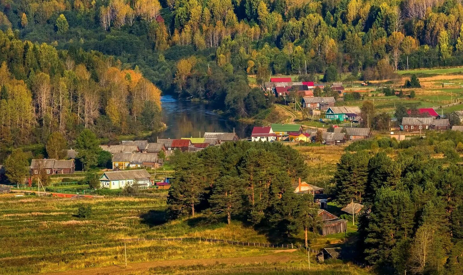 Деревни ленинградской области. Вепсский лес в Ленинградской области. Вепсский лес природный парк. Вепсский лес Тихвин. Вепсский лес деревня Ярославичи.