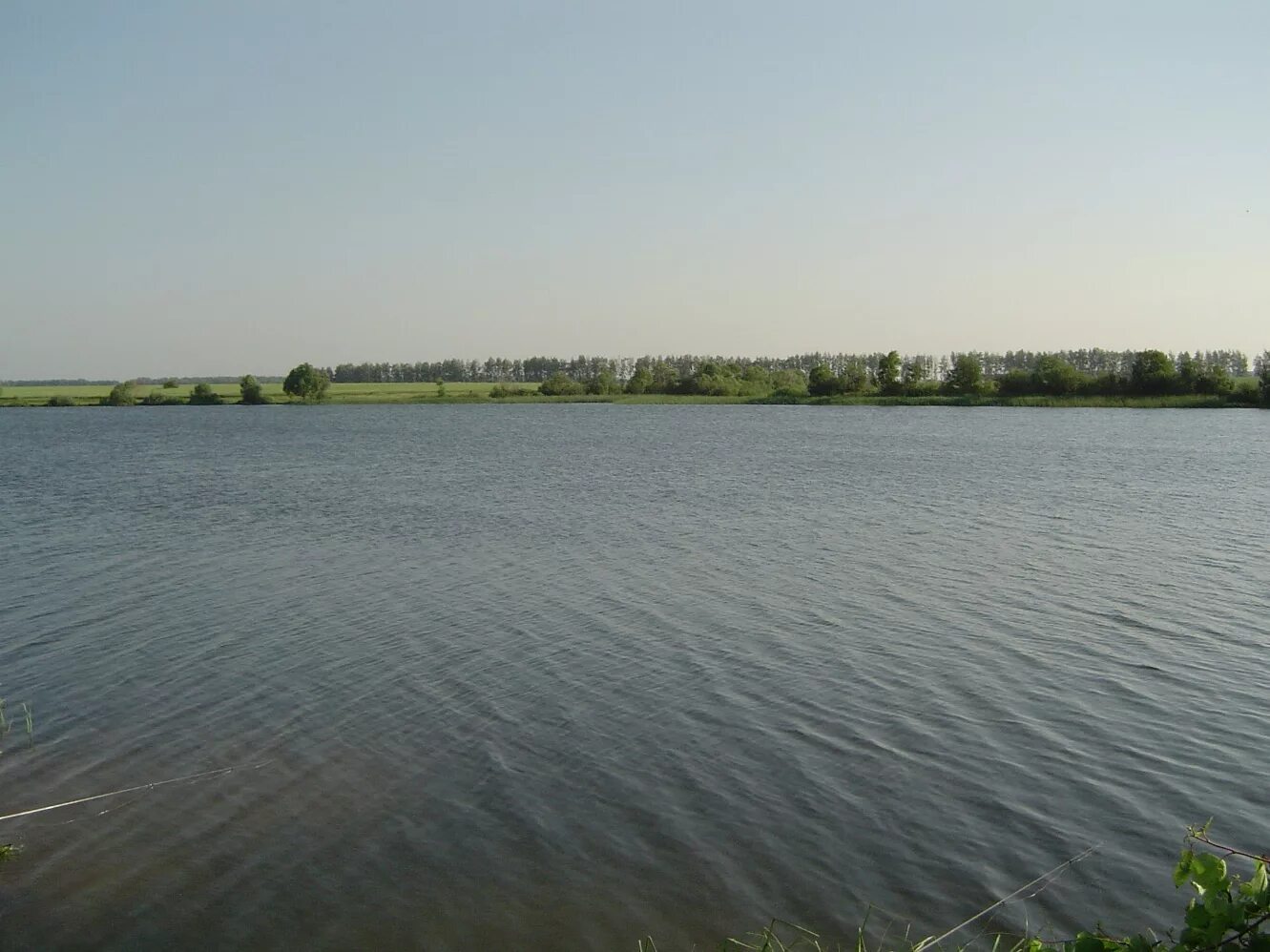 Ивановское озеро московская область. Водоемы григорово. Водоем на участке. Глубокий пруд на участке. Перелив для водоема.