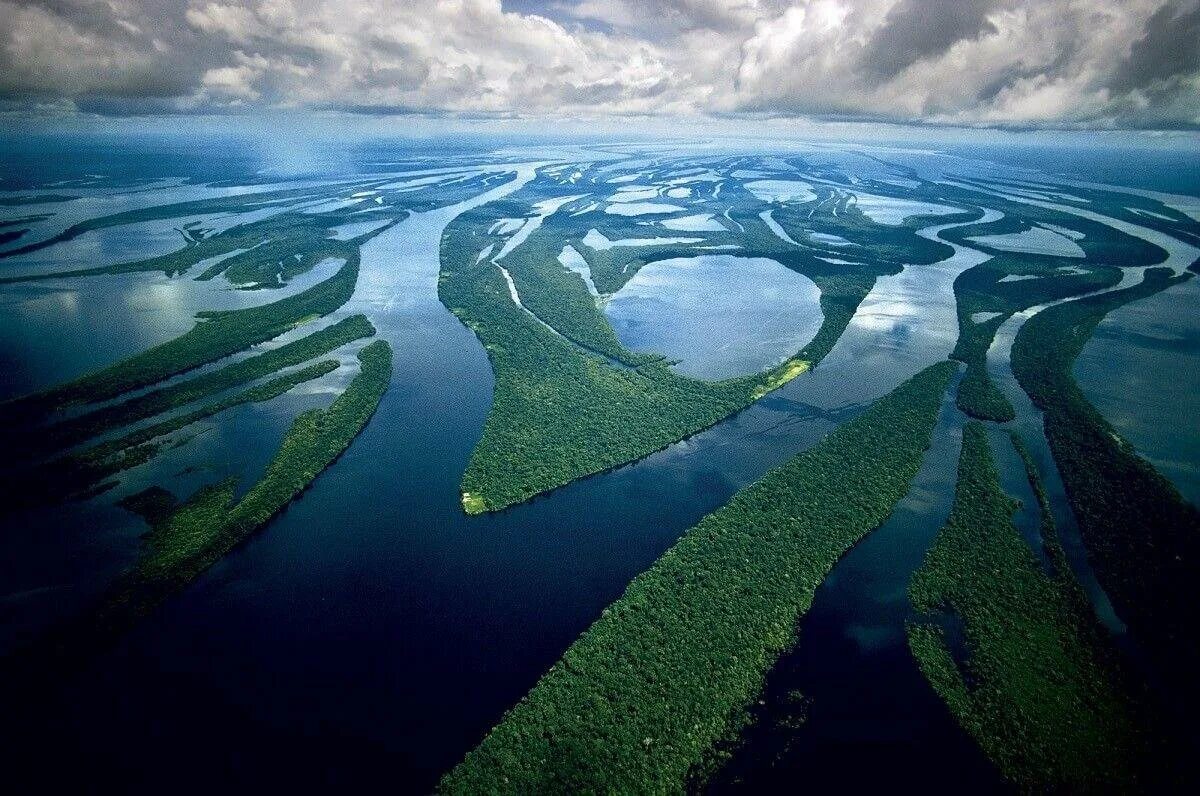 Южная Америка река Амазонка. Эстуарий реки Амазонка. Дельта реки Амазонка. Игапо Амазония.