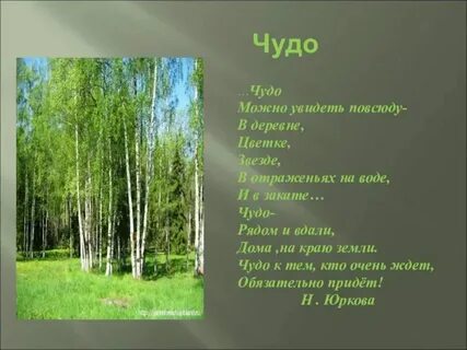Стихотворение первый шаг