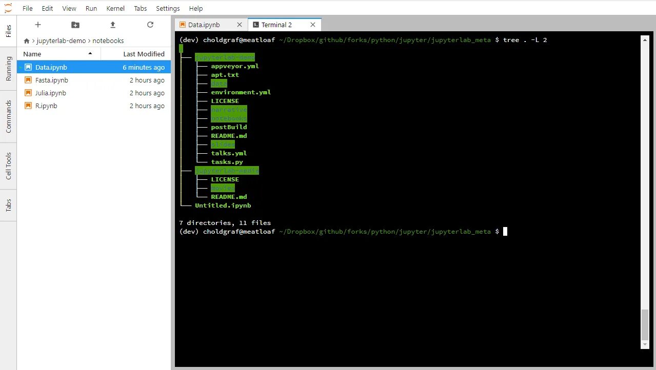 Jupiter notebook python. Dos терминалы. терминал python. терминал cmd. jupyterlab python.