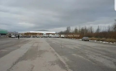 Шушары колпинское шоссе 135