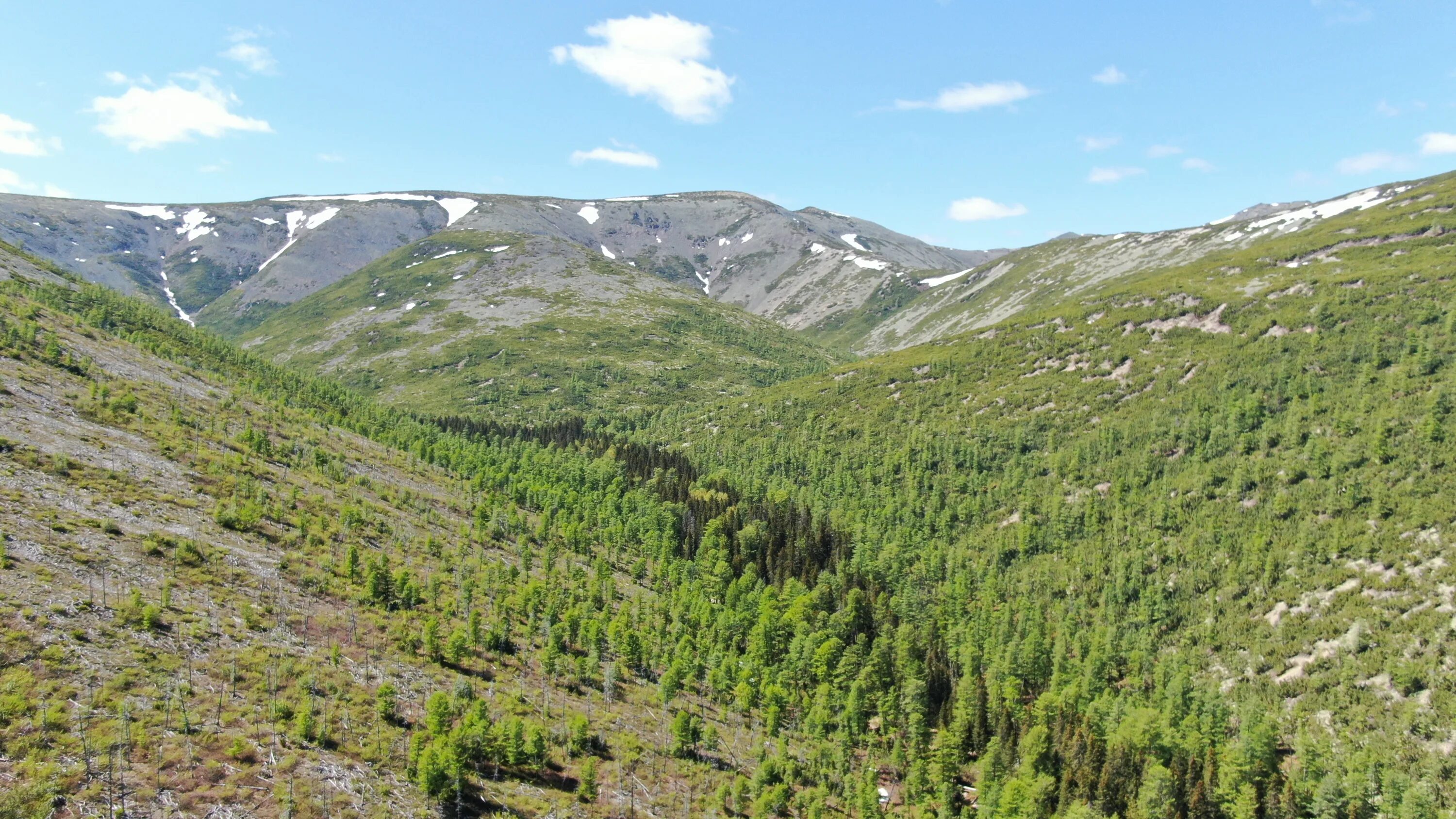 буреинский государственный природный заповедник. джугджурский хребет. горы хребет джугджур. джугджурский заповедник. река джугджур.