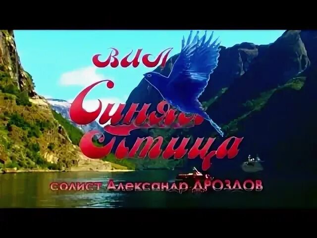 Я к тебе навстречу синяя птица