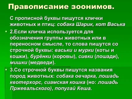Зооним это