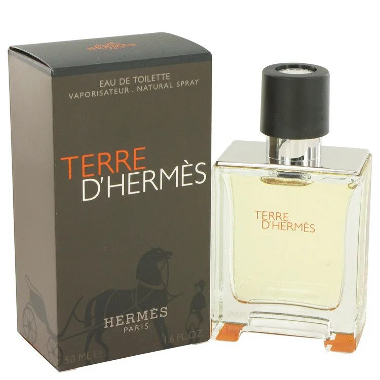 Туалетная вода hermes terre. Хермес Терре мужская туалетная вода. Парфюм Terre d'Hermes мужской. Terre d'Hermes для мужчин 100 мл. Hermes Terre d'Hermes 100ml.