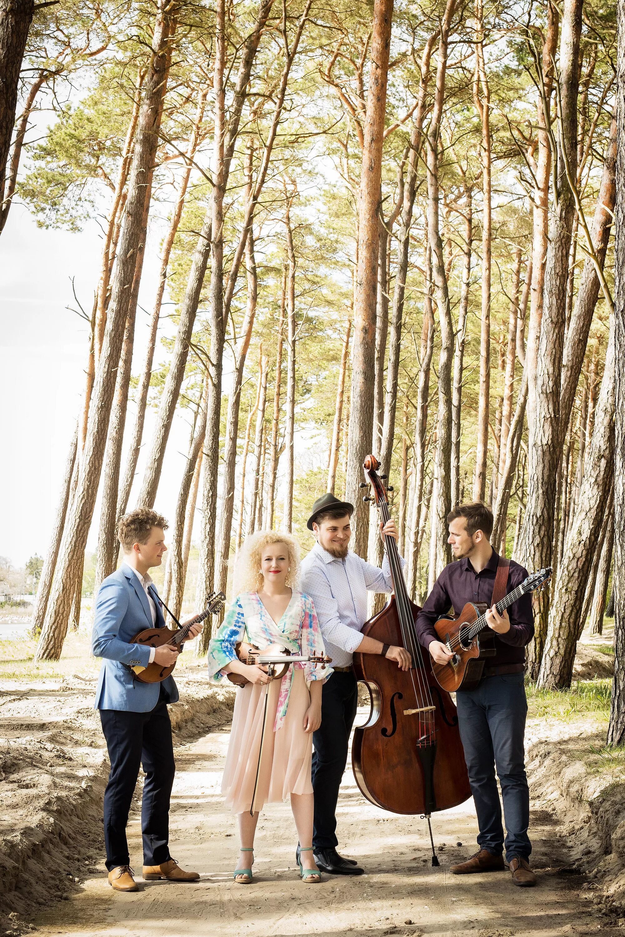 Curly strings. Curly strings band.