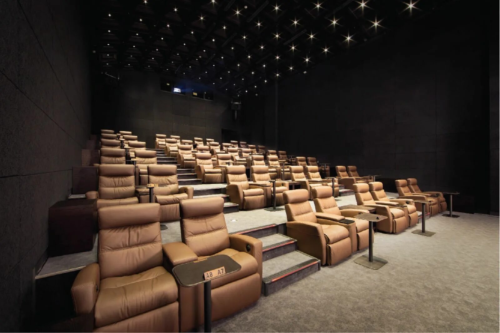 Perfect gold cinema это. Paribu cineverse gold class. Сиднейский кинотеатр. Paribu cineverse gold class. D box.