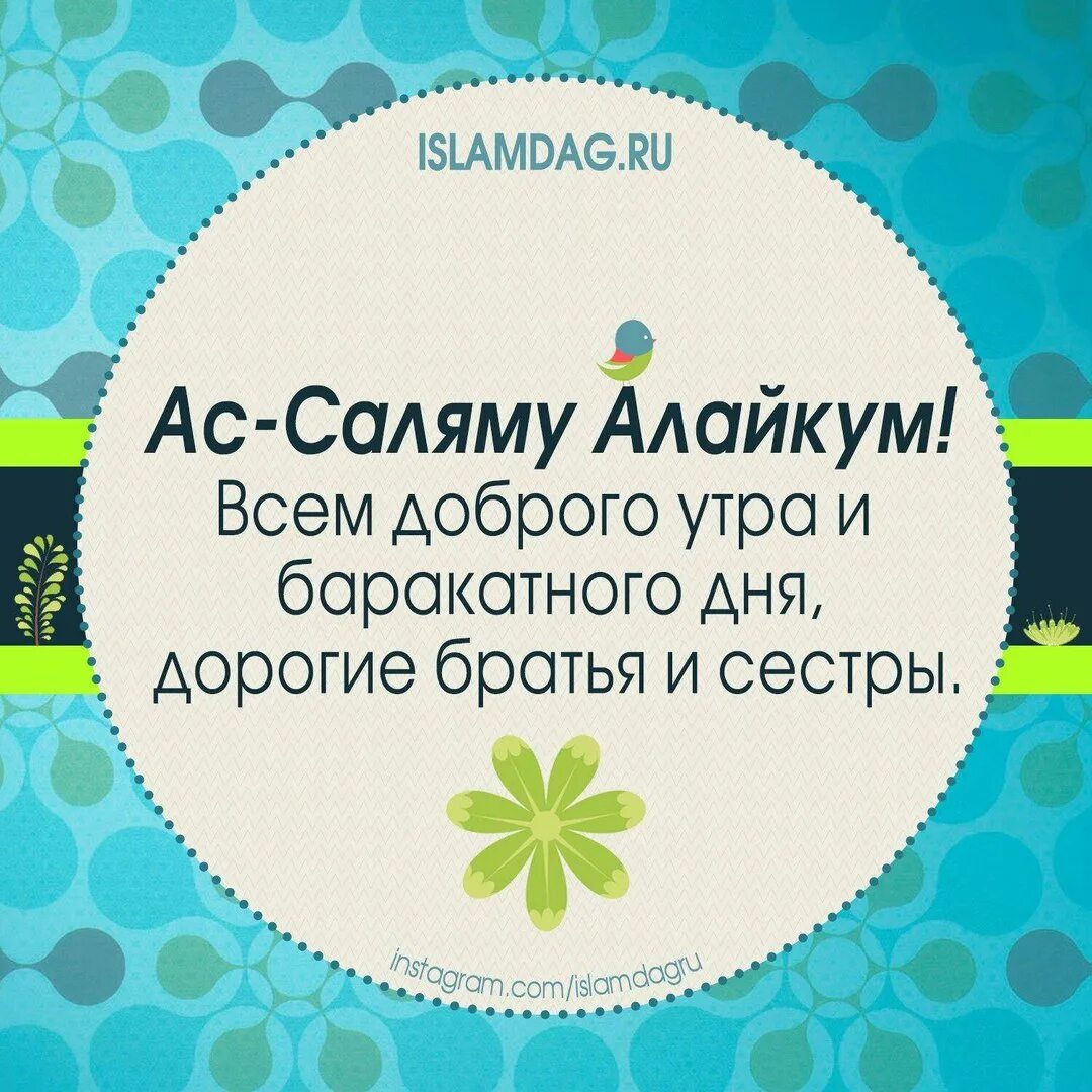 Мусульманские пожелания с добрым утром. Доброе утро в исламе. Доброе утро ислам. Пожелания баракатного дня исламские. Доброе утро в исламе.