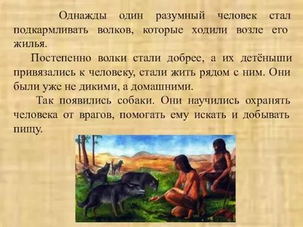 Звери однажды