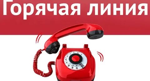 Сайте телефон горячей линии 8
