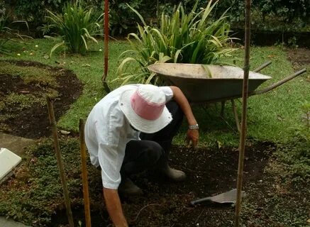 What is your attitude to gardening