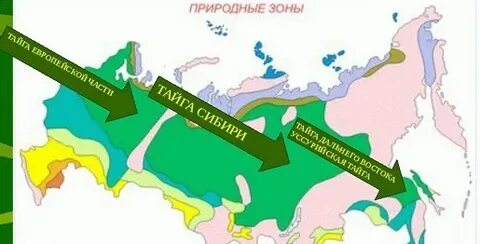 Территория природной зоны тайги